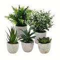 5Pack Mini Artificial Potted Plants, Artificial Eucalyptus Rosemary Succulent Plants In Pots, Fake Bonsai Greenery for Home Office Farmhouse Bathroom Shelf Decor Indoor