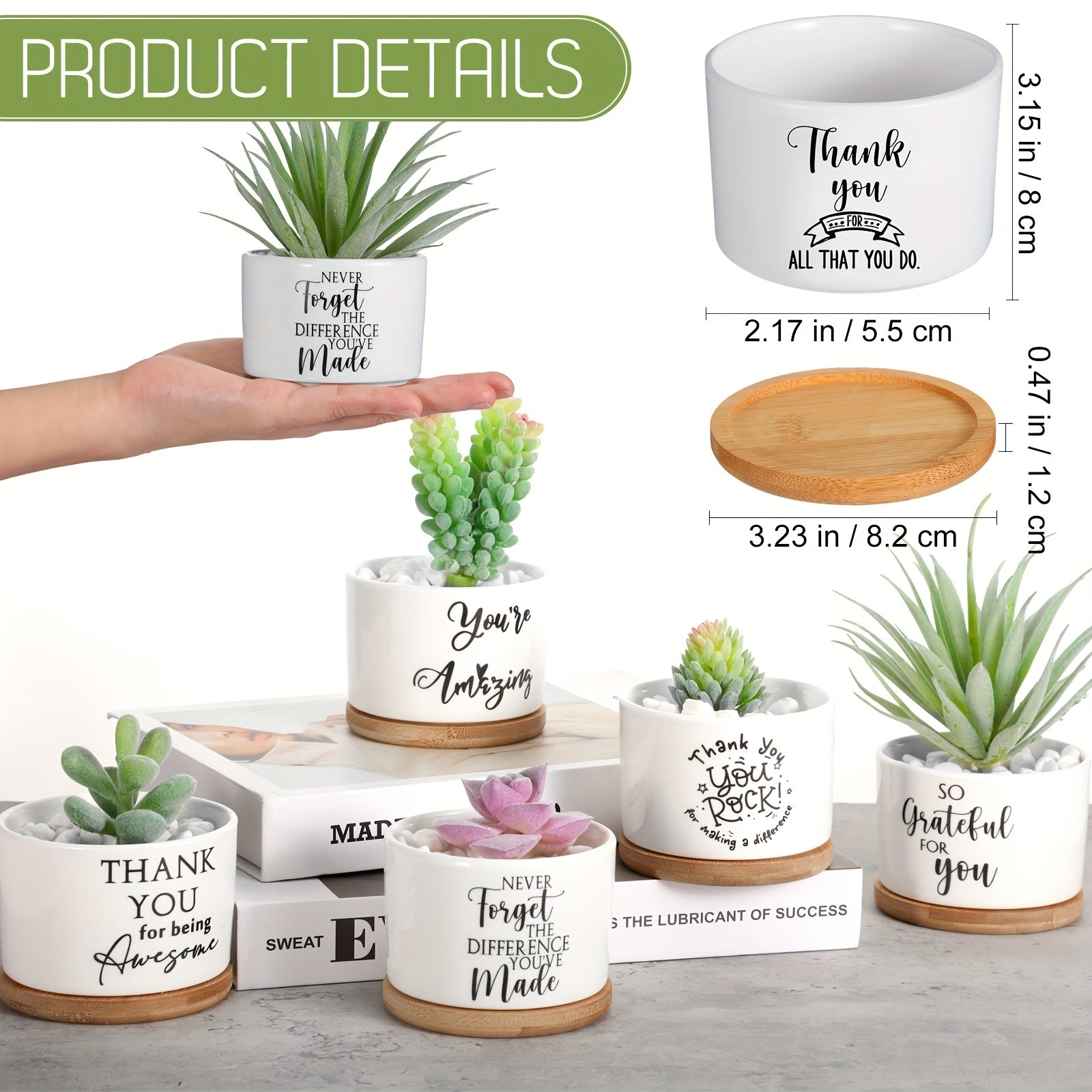 Set of 20 Succulent Plants in Ceramic Pots for Employee Appreciation Gifts, Complete with Bamboo Trays, Perfect for Coworkers And Women. gardening gift home decor