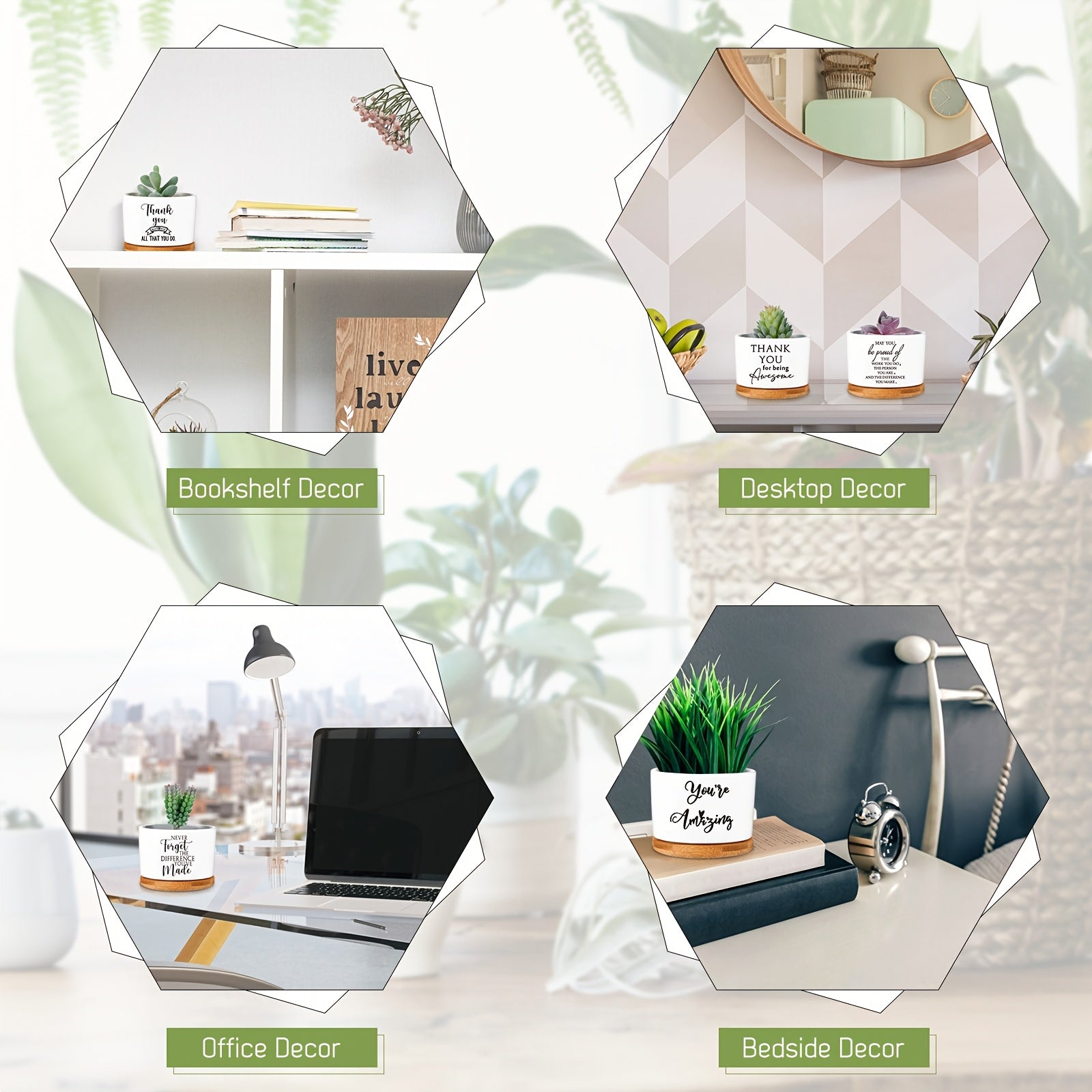 Set of 20 Succulent Plants in Ceramic Pots for Employee Appreciation Gifts, Complete with Bamboo Trays, Perfect for Coworkers And Women. gardening gift home decor