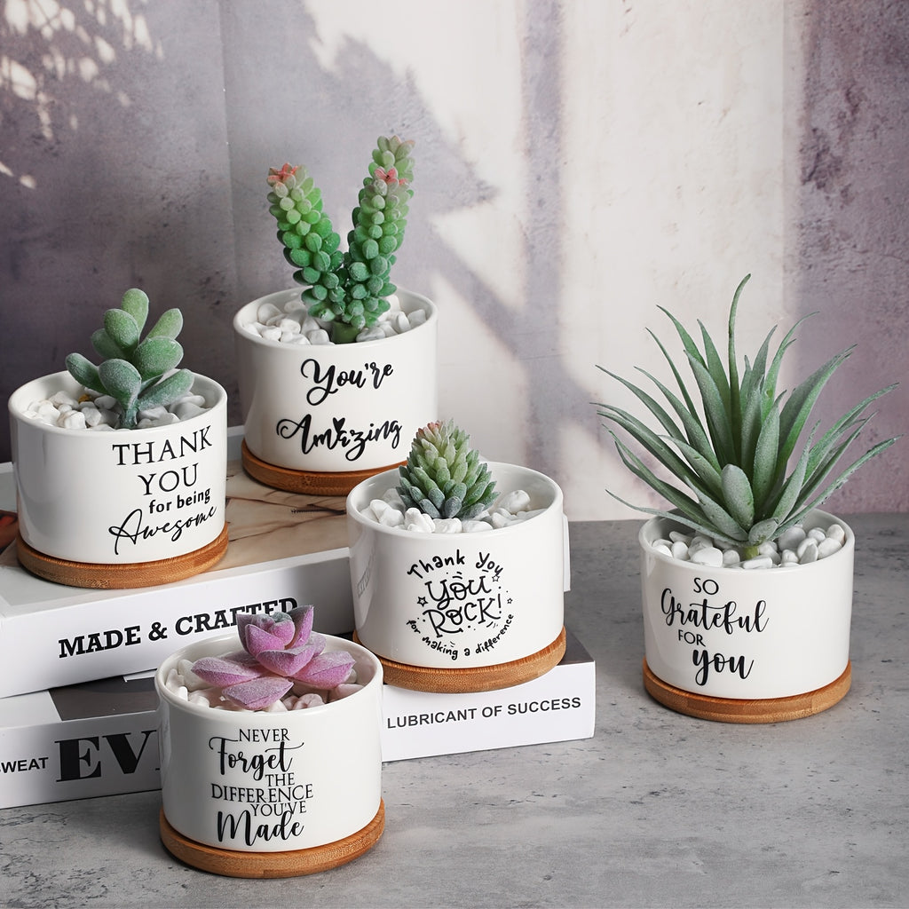 Set of 20 Succulent Plants in Ceramic Pots for Employee Appreciation Gifts, Complete with Bamboo Trays, Perfect for Coworkers And Women. gardening gift home decor