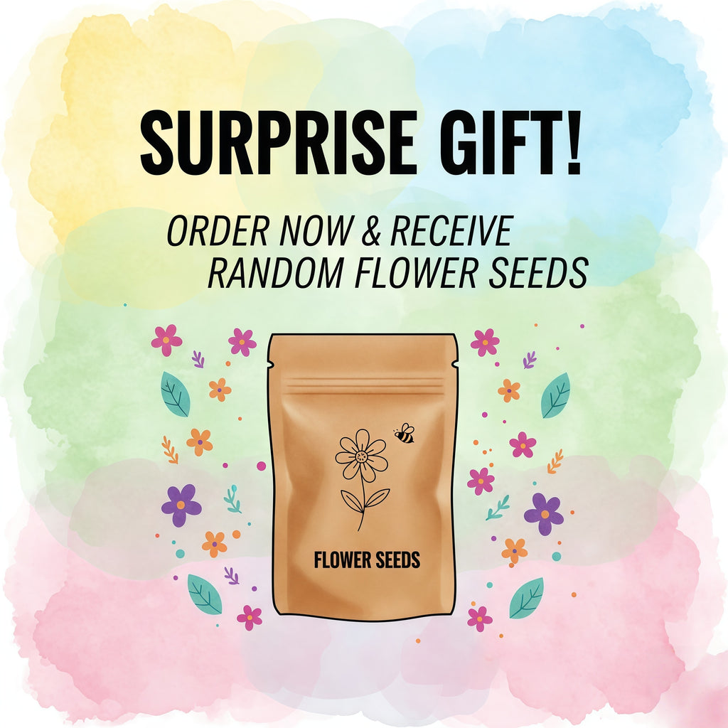 8-10 small living rock plants and 1 packet of flower seeds. Low-maintenance plants, easy to care for. Planted in 3.5-inch pots, no need to worry about watering. Super drought-tolerant \