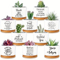 Set of 20 Succulent Plants in Ceramic Pots for Employee Appreciation Gifts, Complete with Bamboo Trays, Perfect for Coworkers And Women. gardening gift home decor